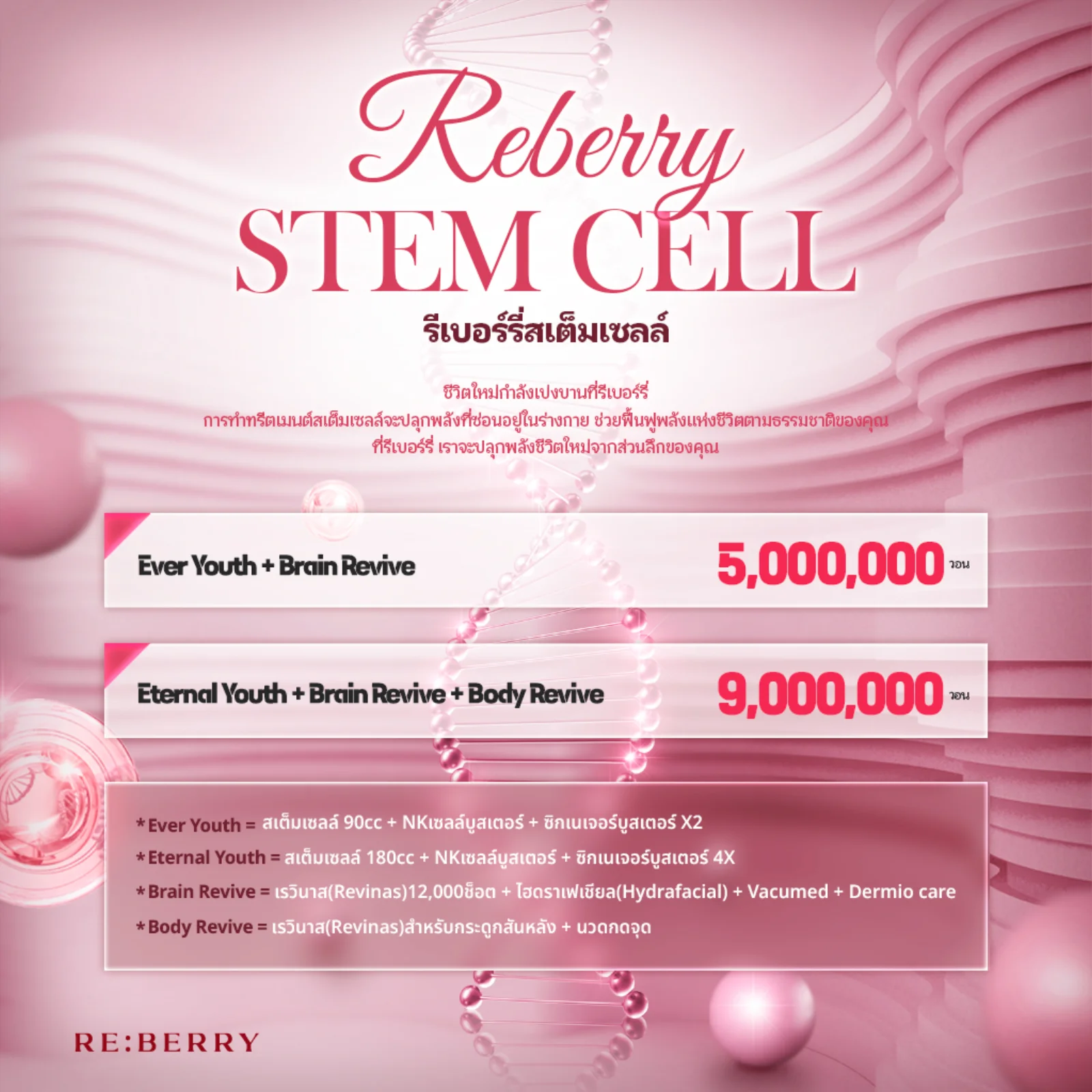 RE:BERRY กังนัม โปรโมชันสเต็มเซลล์ Reberry — Ever Youth + Brain Revive ₩5,000,000 · Eternal Youth + Brain Revive + Body Revive ₩9,000,000 · Ever Youth = สเต็มเซลล์ 90cc + NK Cell Booster + Signature Booster 2 ครั้ง · Eternal Youth = สเต็มเซลล์ 180cc + NK Cell Booster + Signature Booster 4 ครั้ง · Brain Revive = Revinas 12,000 ช็อต + HydraFacial + Vacumed + Dermio Care · Body Revive = Revinas สำหรับกระดูกสันหลัง + นวดเส้นลมปราณ