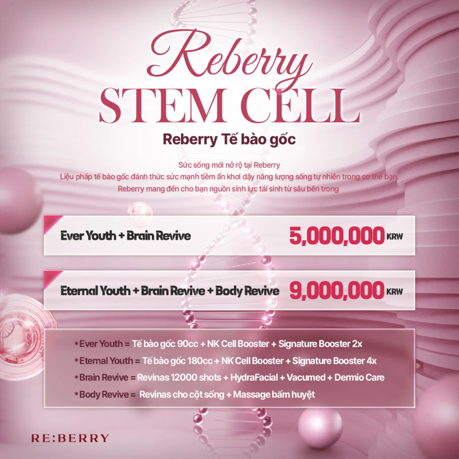RE:BERRY Gangnam Ưu đãi Tế bào gốc Reberry — Ever Youth + Brain Revive ₩5.000.000 · Eternal Youth + Brain Revive + Body Revive ₩9.000.000. Ever Youth = tế bào gốc 90cc + NK Cell Booster + Signature Booster ×2 · Eternal Youth = tế bào gốc 180cc + NK Cell Booster + Signature Booster ×4 · Brain Revive = Revinas 12.000 shot + HydraFacial + Vacumed + Dermio Care · Body Revive = Revinas cho cột sống + massage kinh lạc