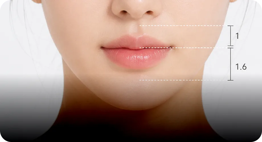 Fine Lines & Pores